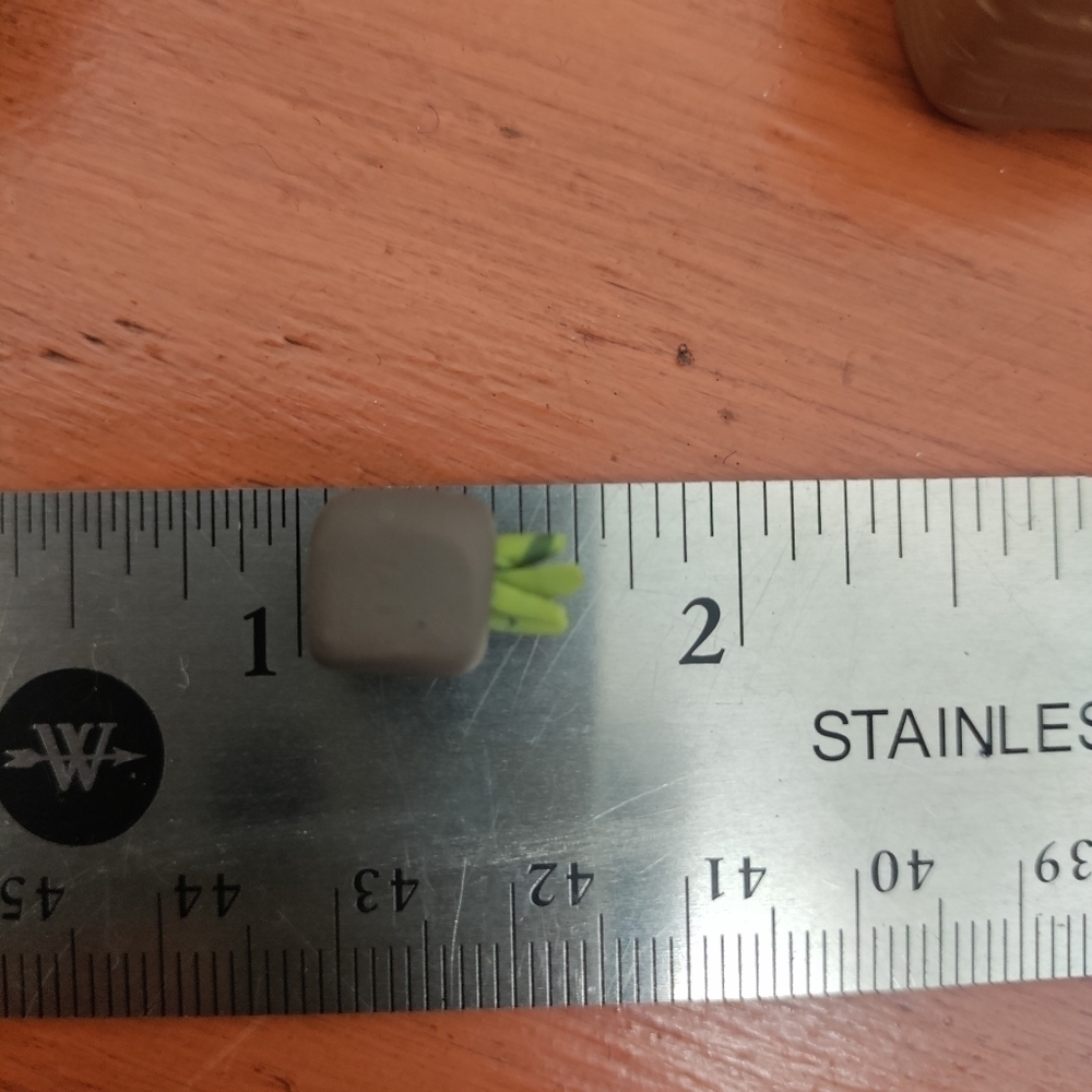 6 Polymer clay & tiger maple potted plants - Picture 7 of 11